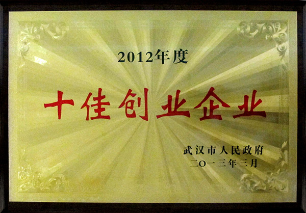 十佳創業企業
