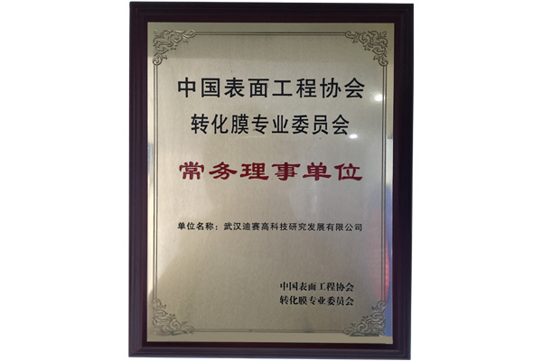中國表面工程協會轉化膜專業委員會副理事長單位