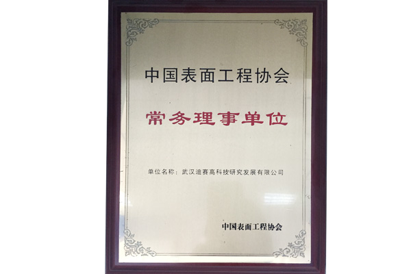 中國(guó)表面工程協(xié)會(huì)常務(wù)理事單位