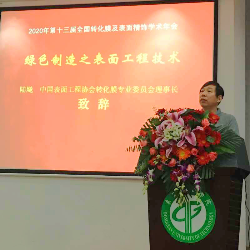 中國(guó)表面工程協(xié)會(huì)轉(zhuǎn)化膜專(zhuān)業(yè)委員會(huì)理事長(zhǎng)陸飚教授致辭